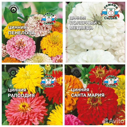 Семена Цинии бесплатная доставка по Крыму