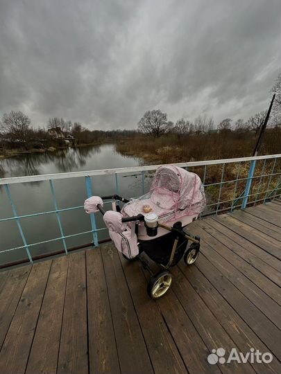 Коляска Adamex Reggio Special Edition 3 в 1