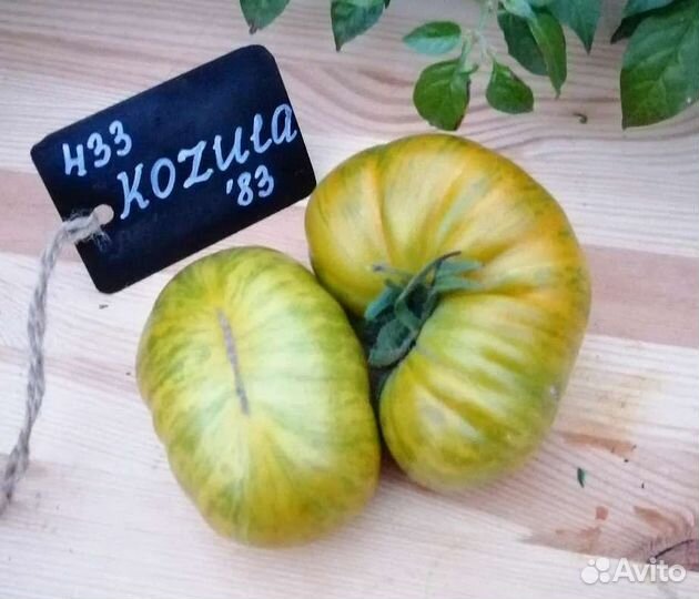 Продам семена редких коллекционных томатов, перцев