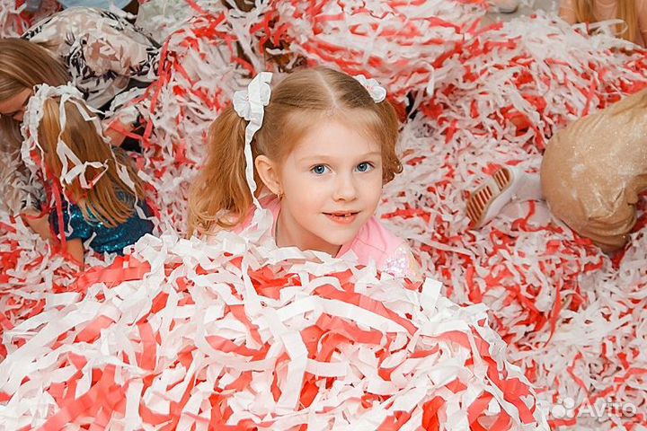 Аниматоры на день рождения