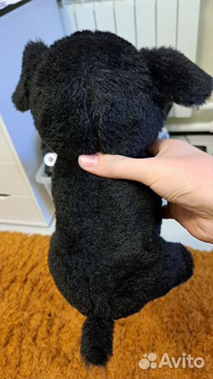 Игрушечный пёс