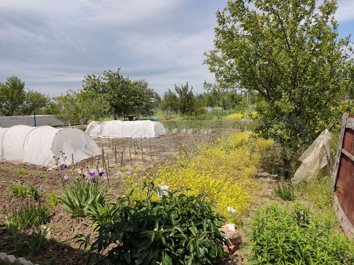 Дача 20 м² на участке 8 сот.