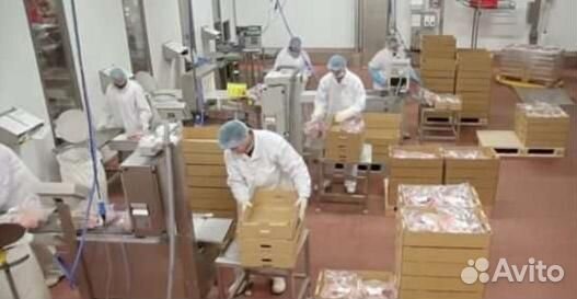 Грузчики на курицу.Вахта в Челябинской обл