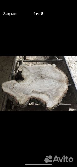 Слэб из тополя