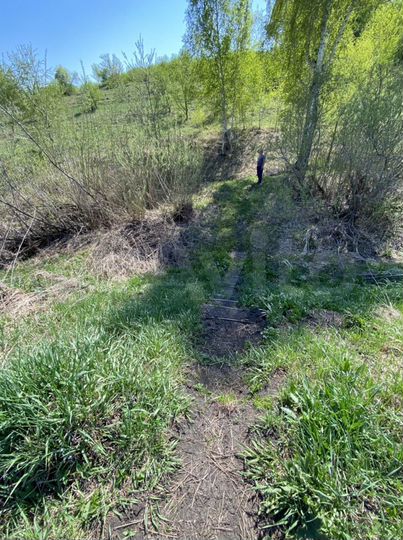 Участок 10 сот. (СНТ, ДНП)