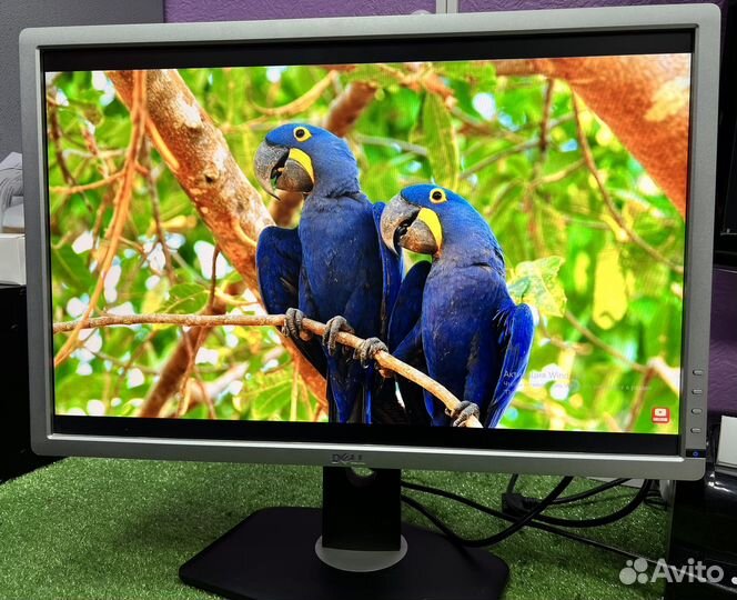 Монитор Dell U2412M 1920x1200