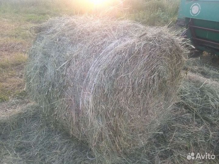 Сено в рулонах
