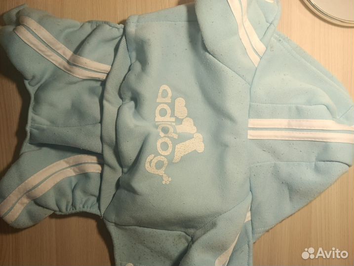 Одежда для маленьких пород собак до 3,5 кг