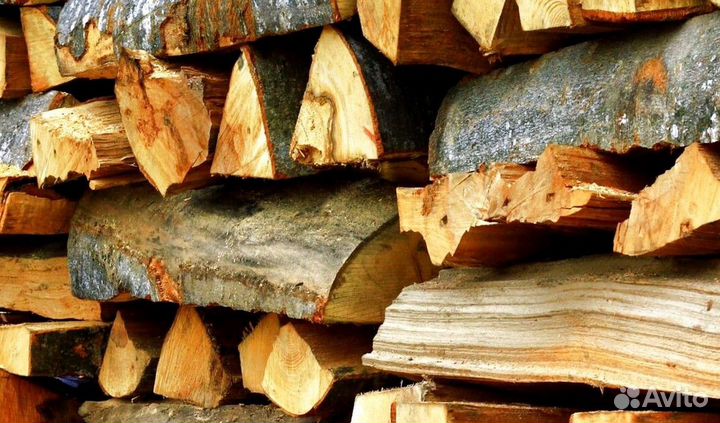 Дрова без жучков