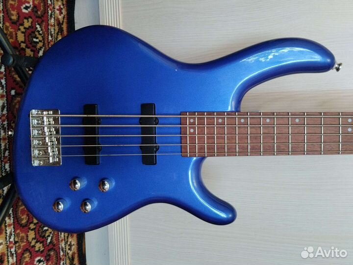 5 струнная бас гитара