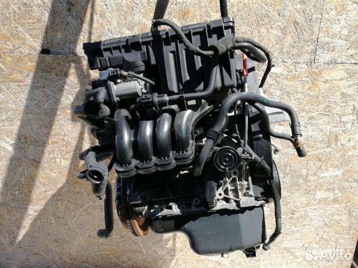 Двигатель Volkswagen Golf 5 (2003 - 2009) 1.4 BUD