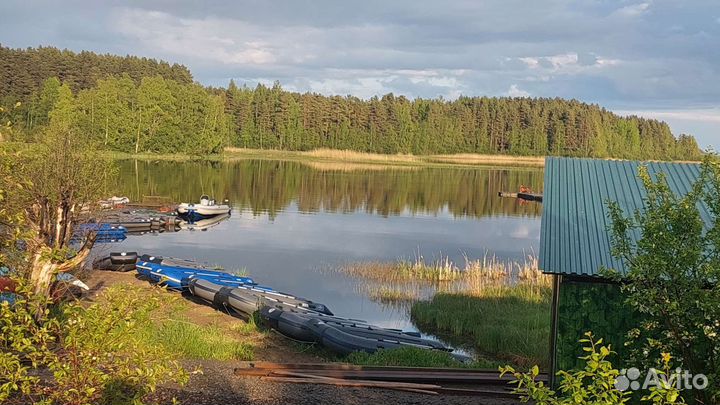Прокат пвх лодки 