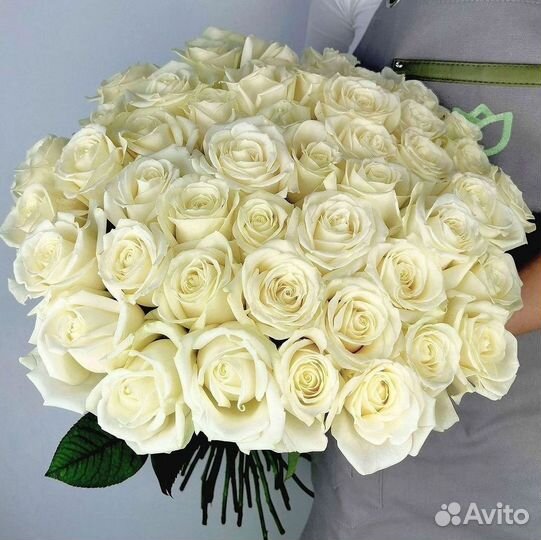 Высокие Розы Гиганты Доставка Круглосуточно