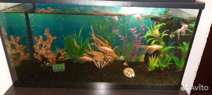 Аквариум с тумбой