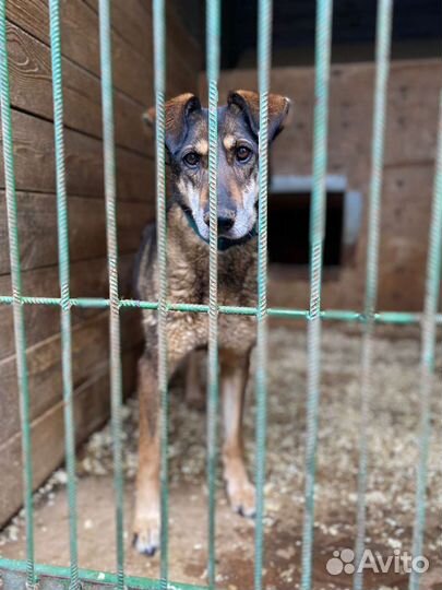 Старушка Магда не знала любви