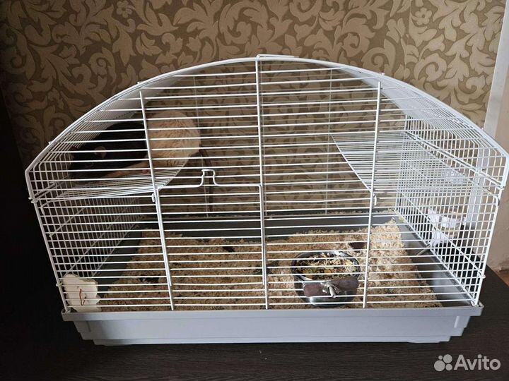 Клетка для грызунов