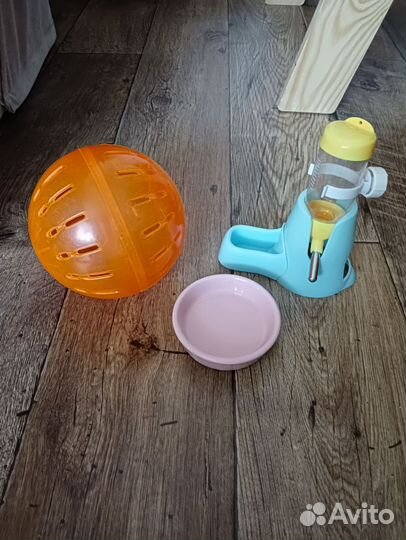 Товары для животных грызунов