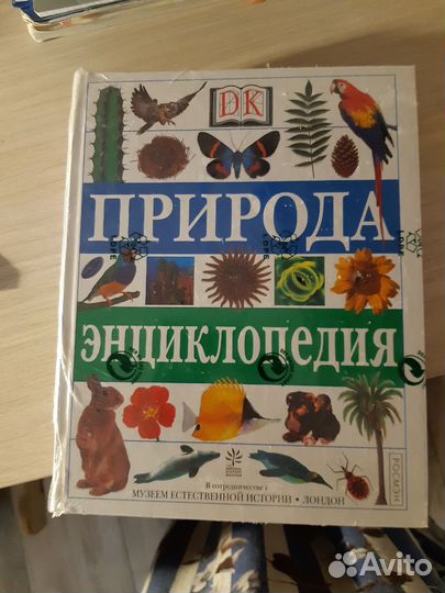 Детская энциклопедия