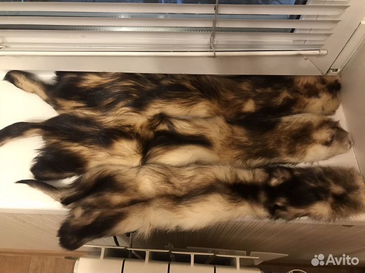 Шкурка-чулок хонорик