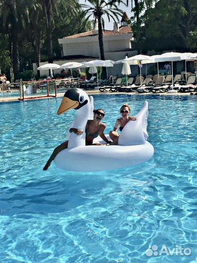 Надувной лебедь