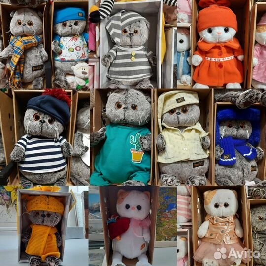 Кот Басик, Кошечка Лили Lili