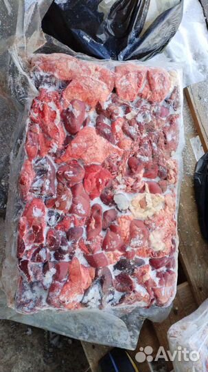 Мясо для собак