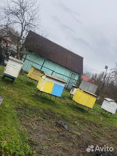 Улий для пчел