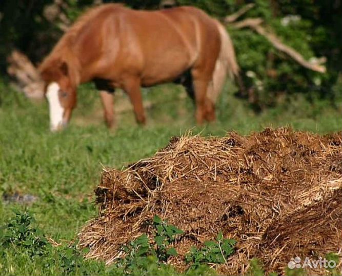 Навоз перегной в мешках