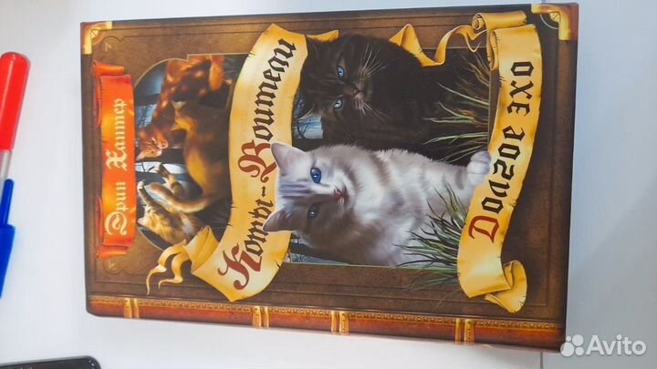 Коты воители Долгое эхо