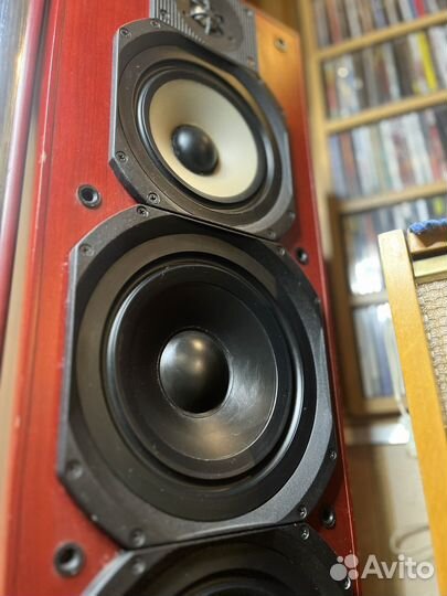 Paradigm reference studio 100