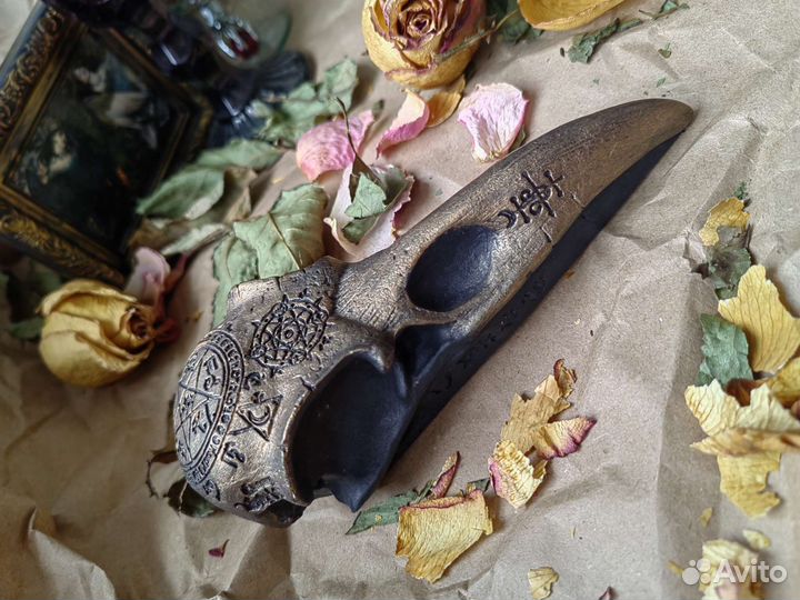 Череп ворона