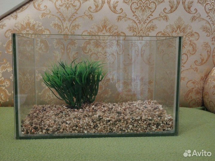 Аквариум для черепашки или рыбки