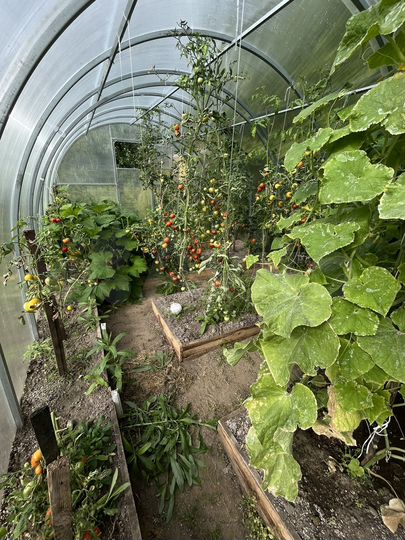 Дача 30 м² на участке 8 сот.