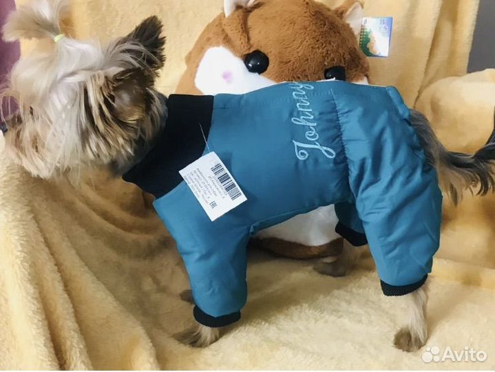 Одежда для собак мелких пород
