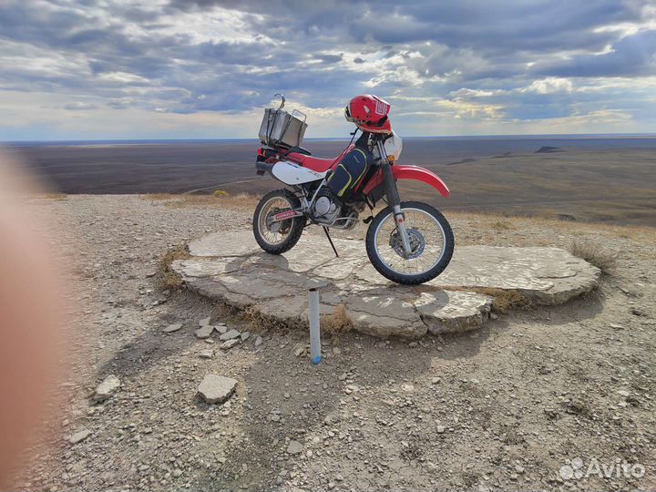 Xr650l