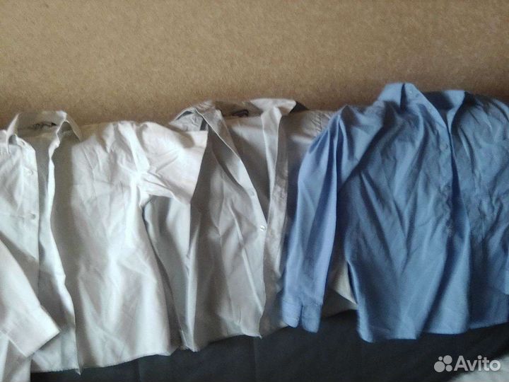 Рубашки, поло, джемпер, водолазки