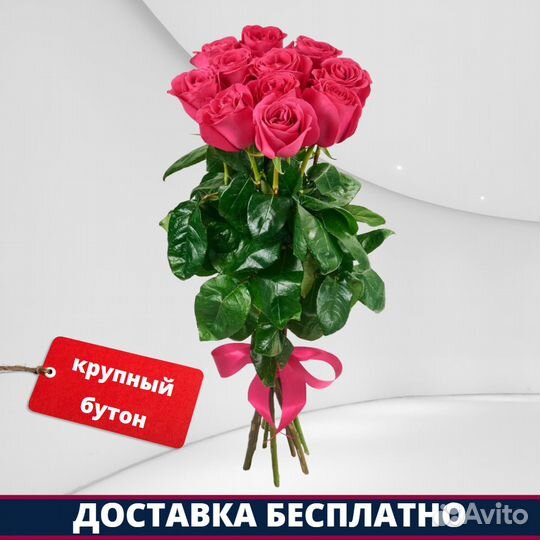 Розы Эквадор - 11 шт. 60 см