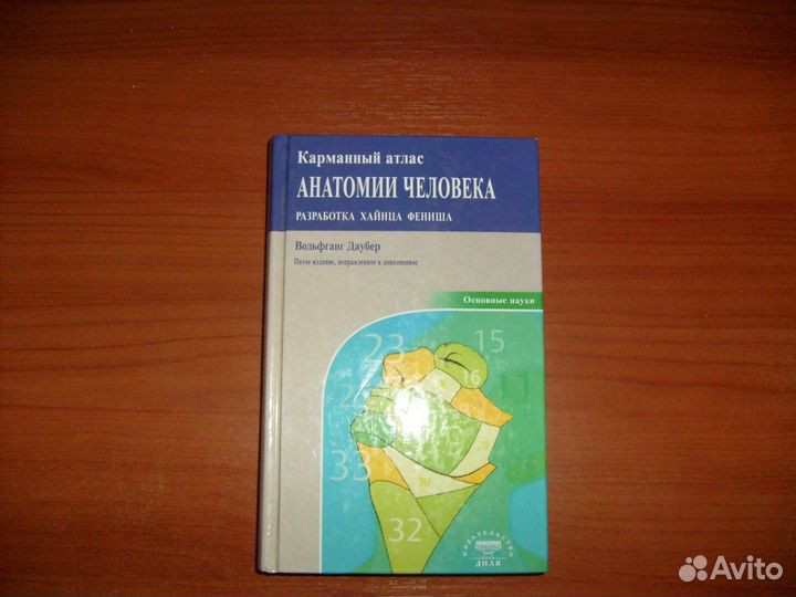 Анатомия человека