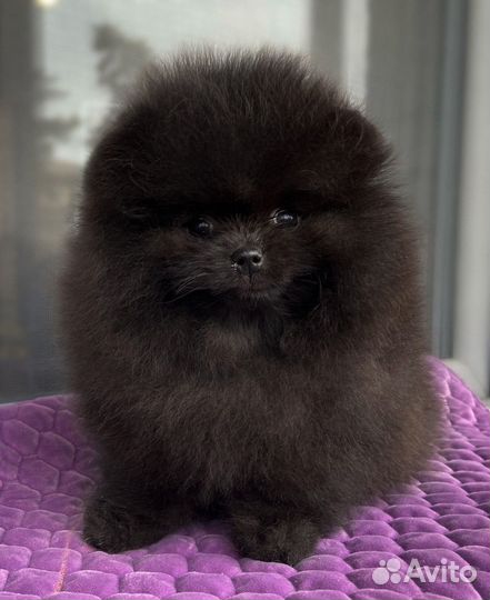 Девочка черная