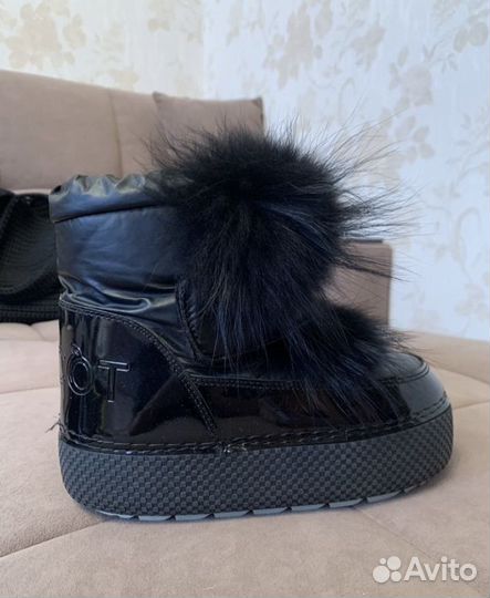 Луноходы abricot