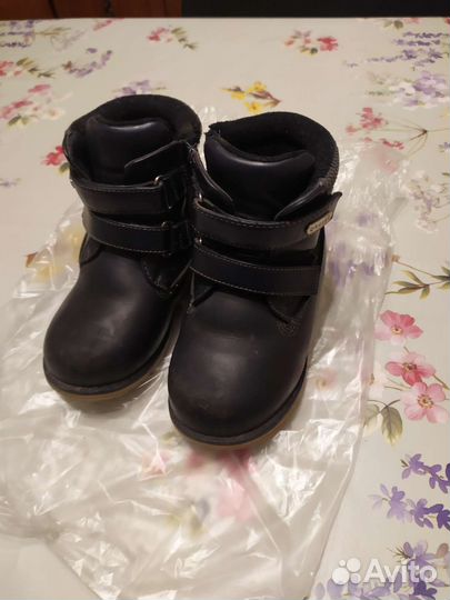 Отдам бесплатно