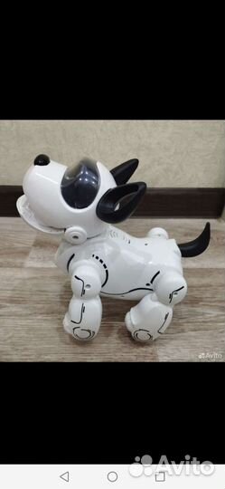 Собака-робот Pupbo