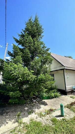 Дача 49,6 м² на участке 5 сот.