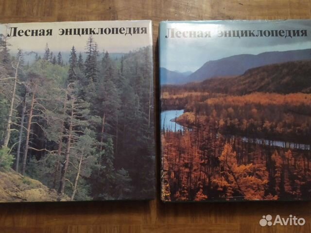Лесная энциклопедия. Книги