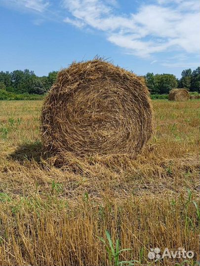 Солома в рулонах