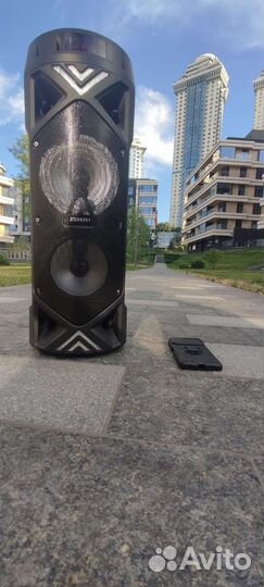 Блютуз колонка с караоке большая