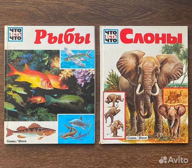 Что есть что