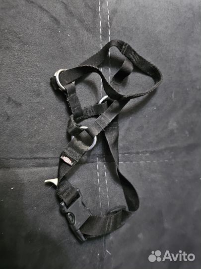 Намордник и недоуздок