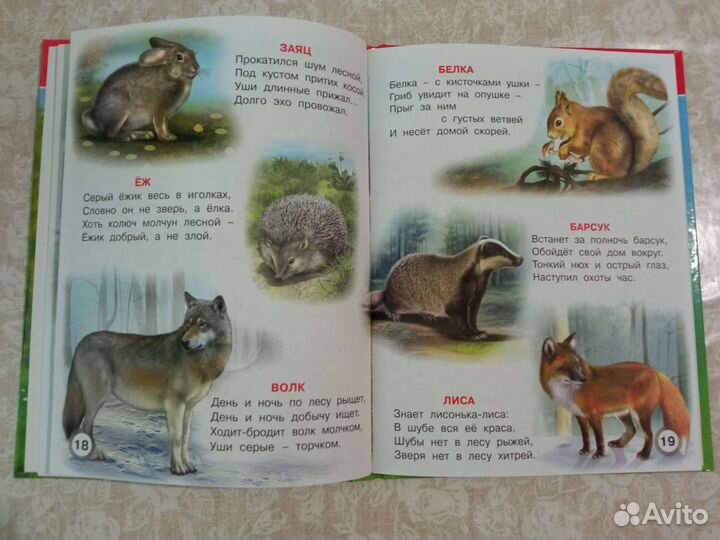 Книга для дошкольников