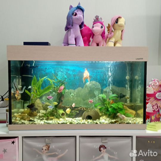 Аквариум с рыбками бу